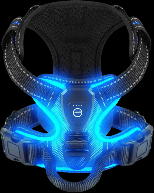 LED Luminous Dog Harness