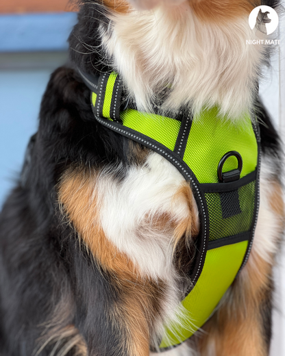 LED Luminous Dog Harness