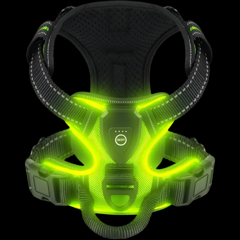 LED Luminous Dog Harness