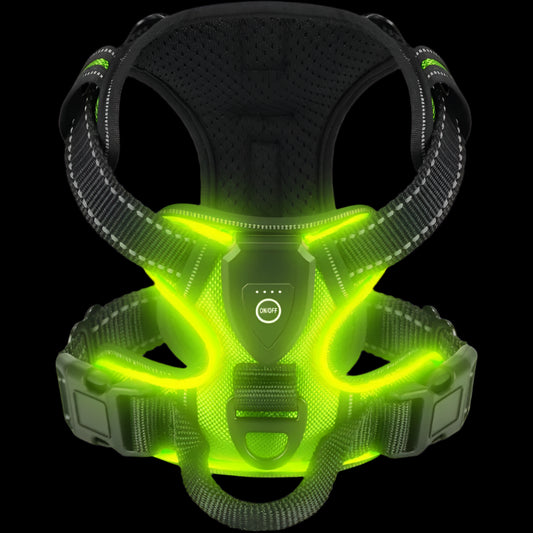 LED Luminous Dog Harness