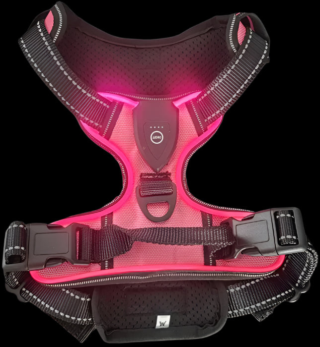 LED Luminous Dog Harness