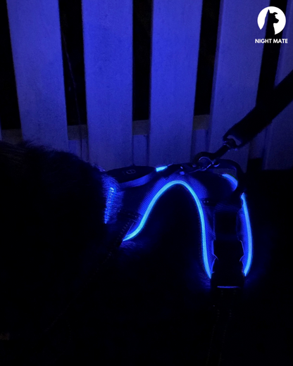 LED Luminous Dog Harness