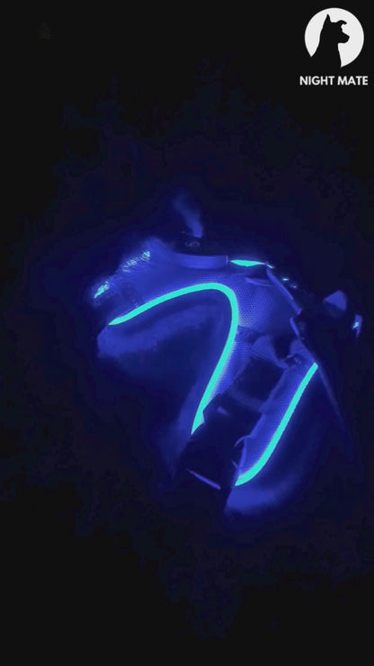 LED Luminous Dog Harness