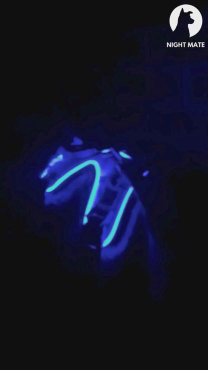LED Luminous Dog Harness